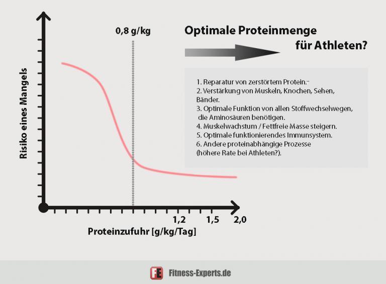 Wie Viel Gramm Protein Pro Tag fitness-experts.de